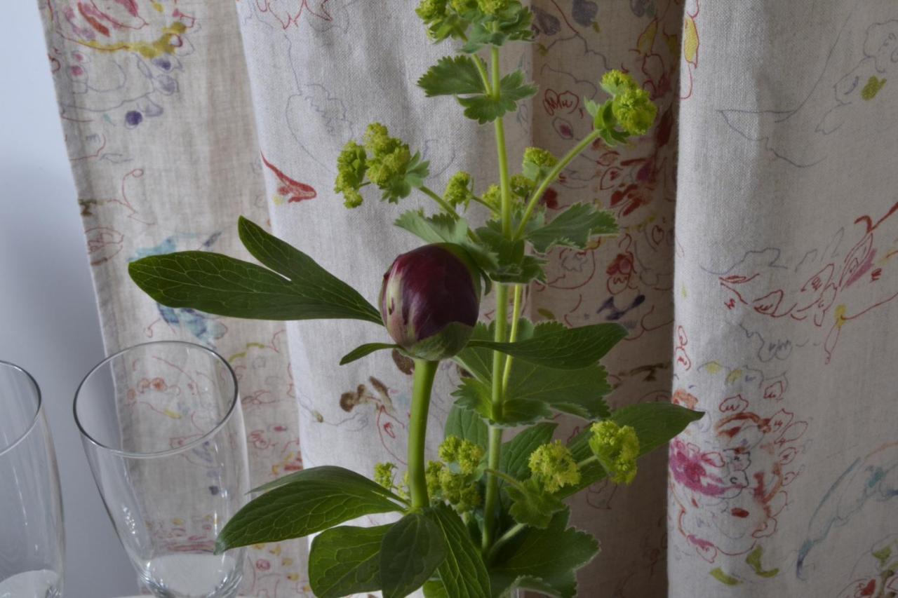 Romantisches Bed&Breakfast Apfelstern Unterwornitz 외부 사진