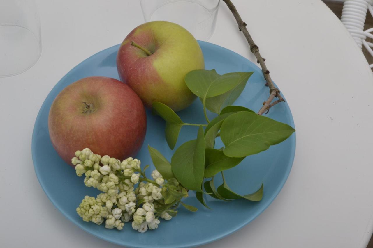 Romantisches Bed&Breakfast Apfelstern Unterwornitz 외부 사진